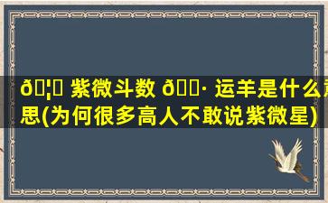 🦟 紫微斗数 🌷 运羊是什么意思(为何很多高人不敢说紫微星)